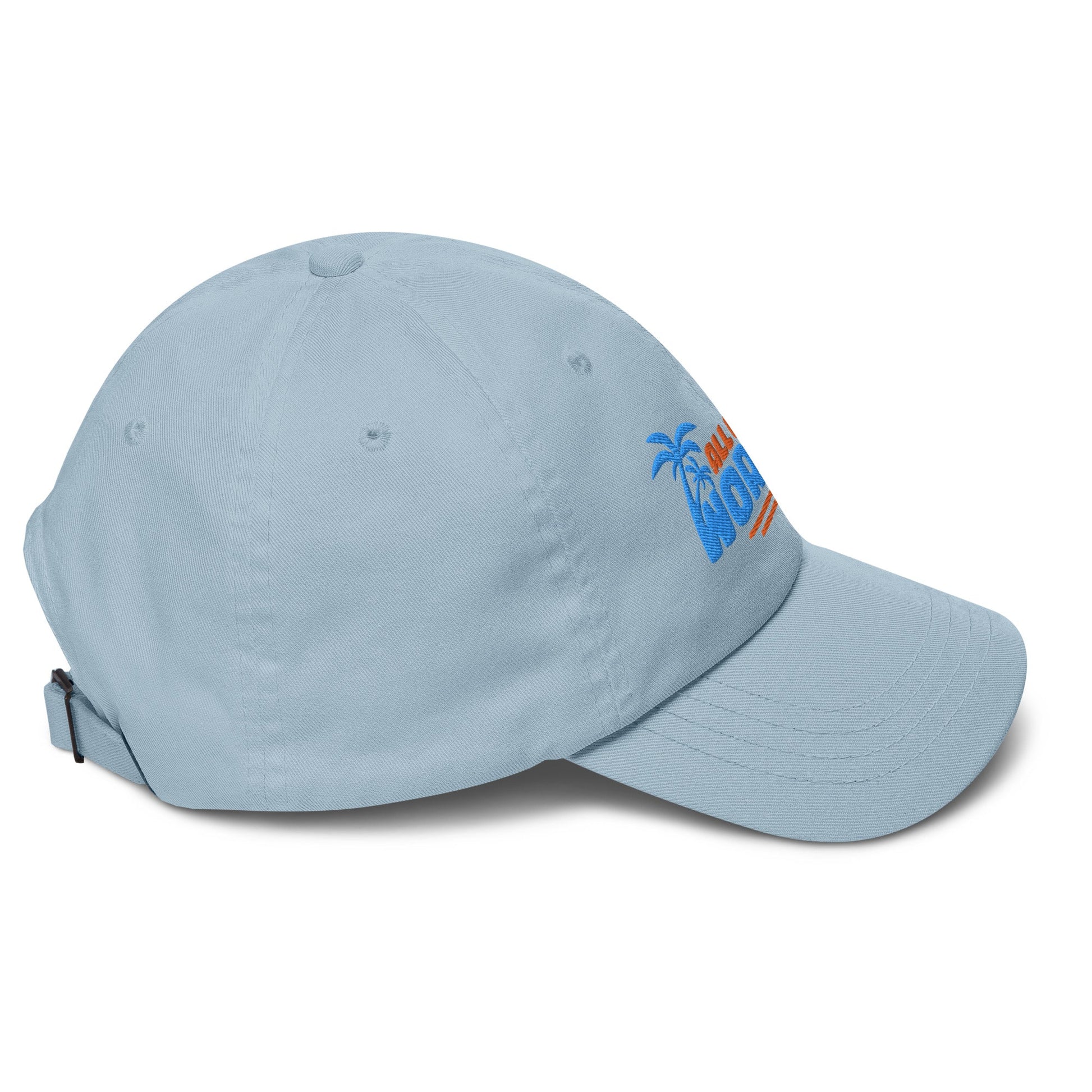 All of the Worries Dad Hat - Swash Peak