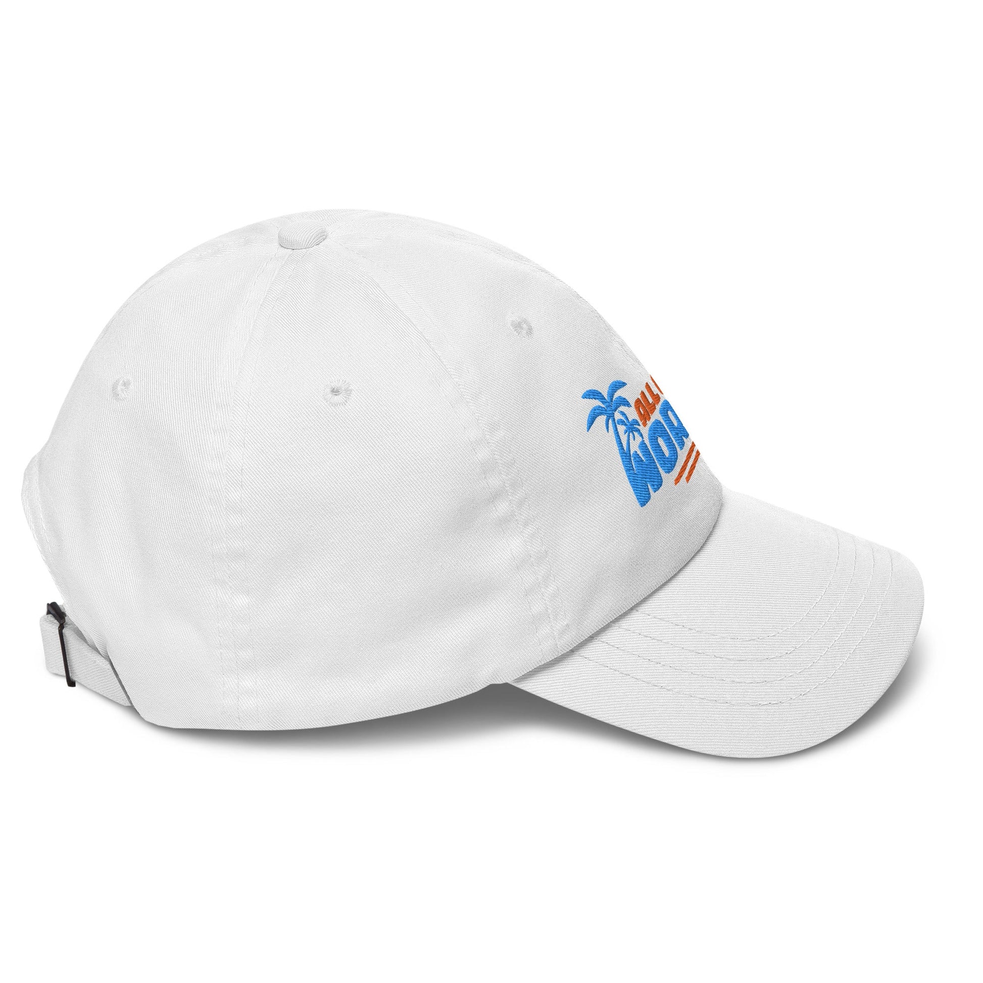 All of the Worries Dad Hat - Swash Peak