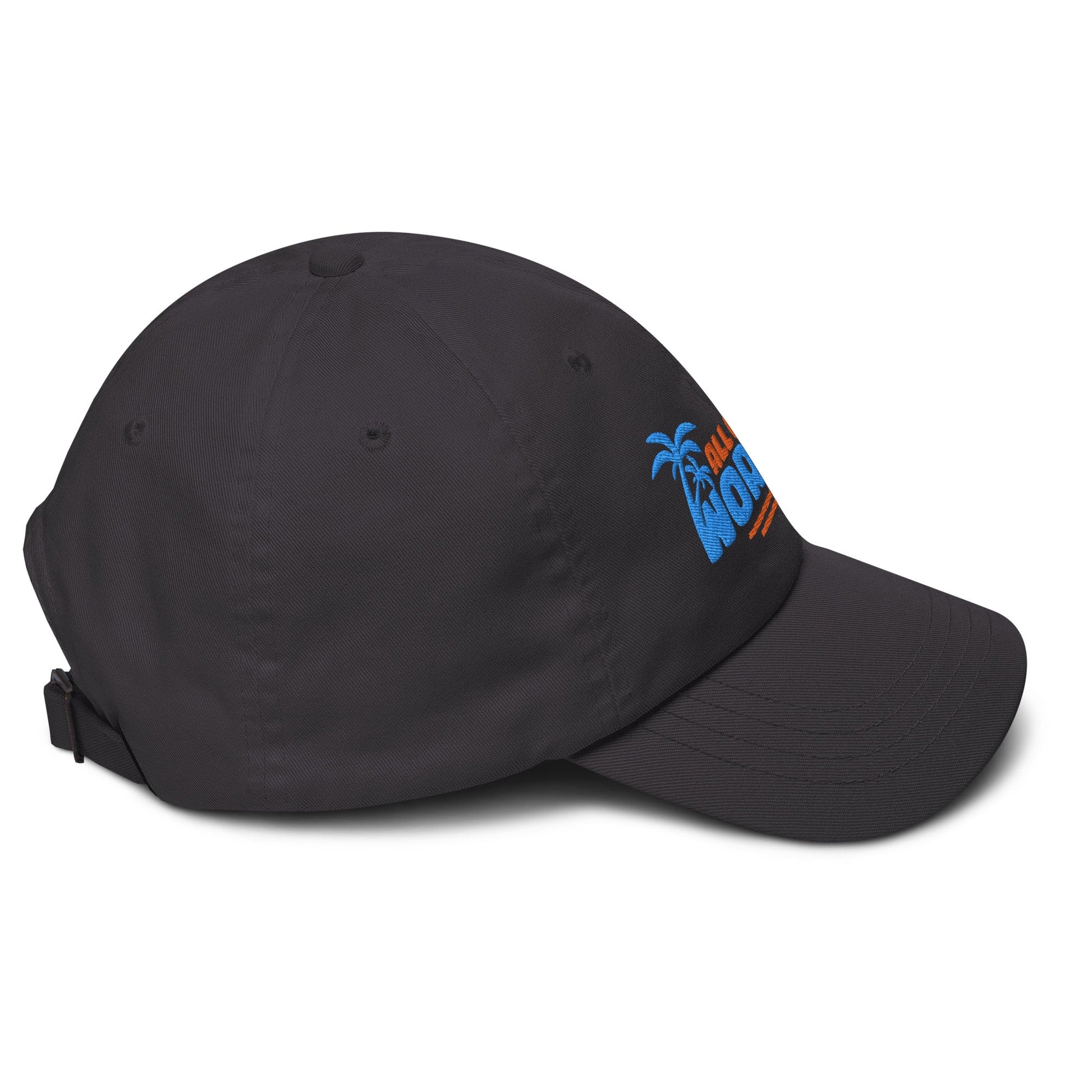 All of the Worries Dad Hat - Swash Peak