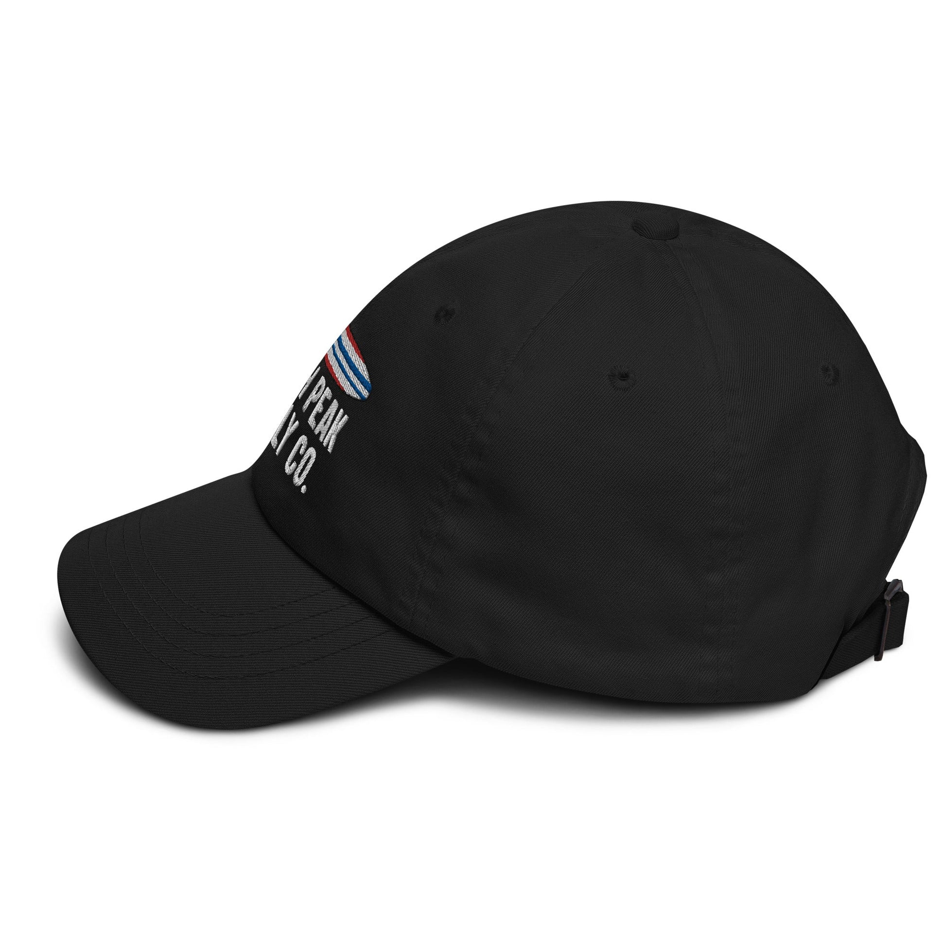 Boarding is Life Dad Hat - Swash Peak
