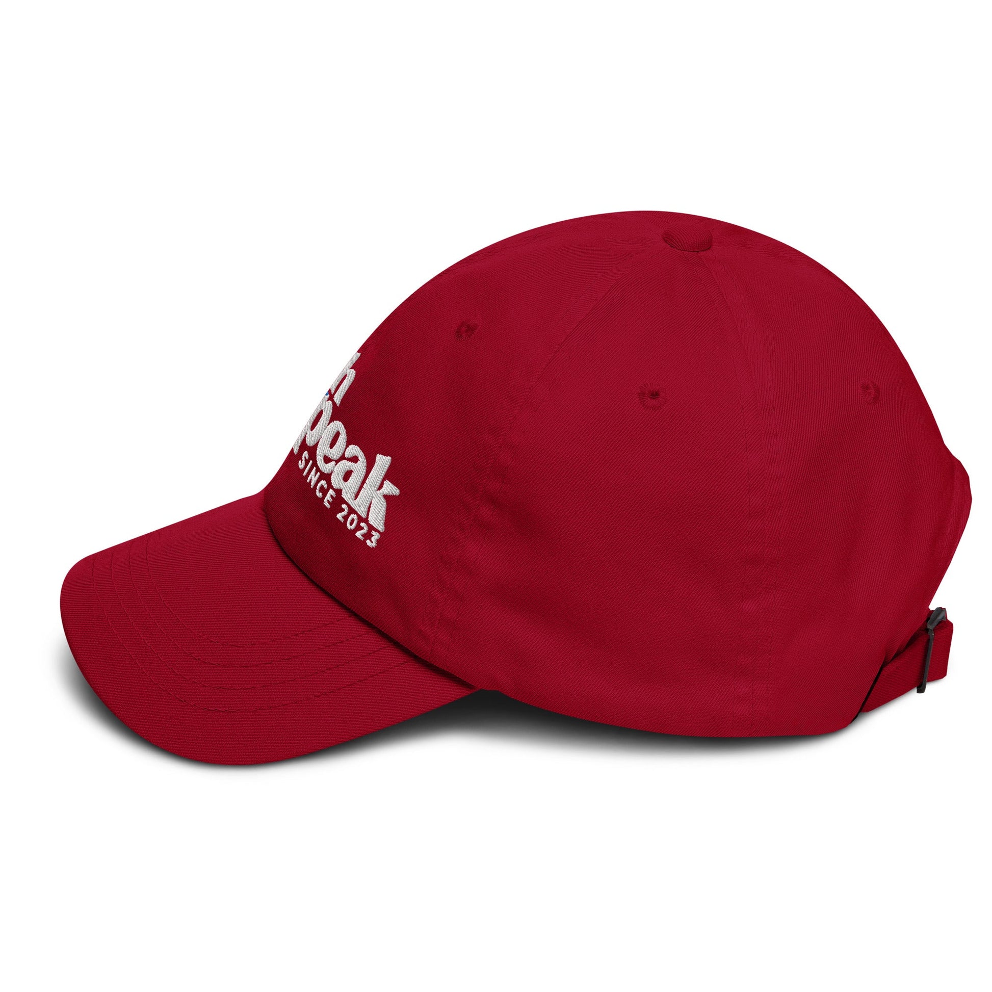 Fast Track Dad Hat - Swash Peak