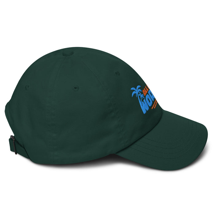 All of the Worries Dad Hat - Swash Peak