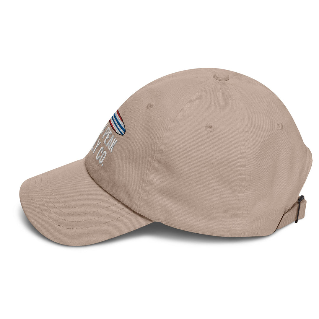 Boarding is Life Dad Hat - Swash Peak