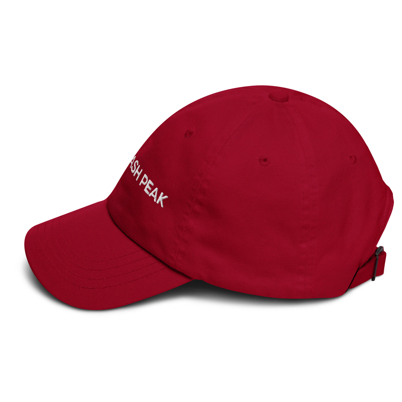 Swash Peak Dad Hat